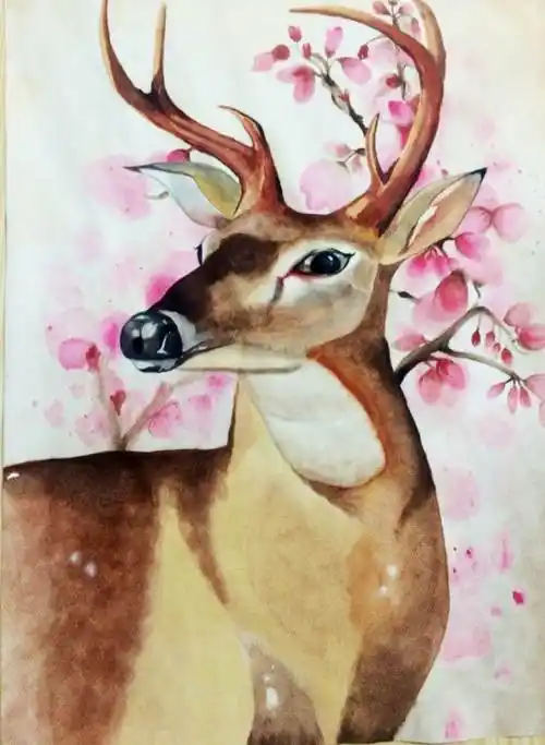 梅花鹿水粉画梅花鹿水粉画教程