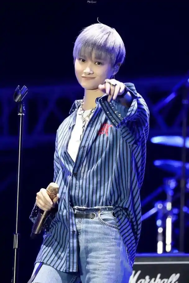 女歌手李宇春个人资料简介图片大全集