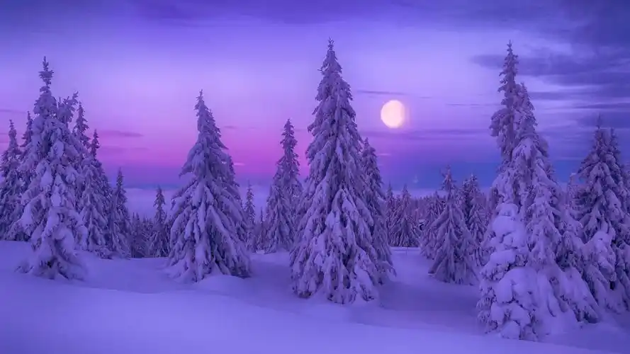 下载壁纸(1920x1080)发布者:hyf7238  [声明] 墨鱼部落格所有资源为