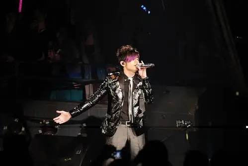 周杰伦经典造型《紫毛伦》周杰伦经典造型《紫毛伦》周杰伦经典造型