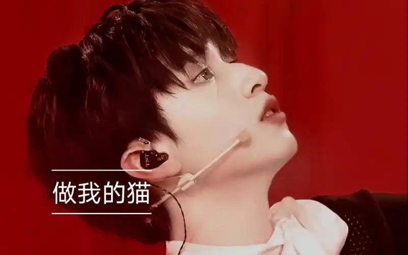 做我的猫严浩翔严邈邈直拍