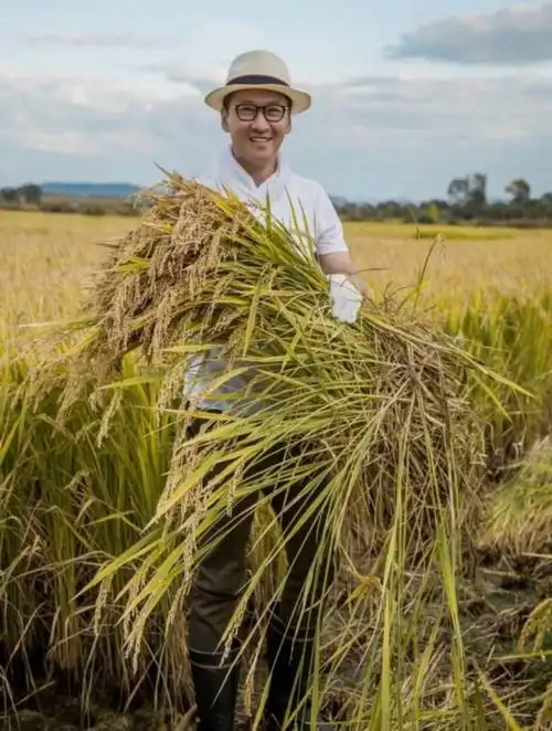 周杰为湖北医务人员捐赠两万斤大米 自家农场真相曝光