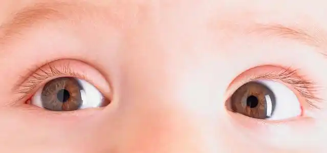 婴儿眼睛的特写镜头照片