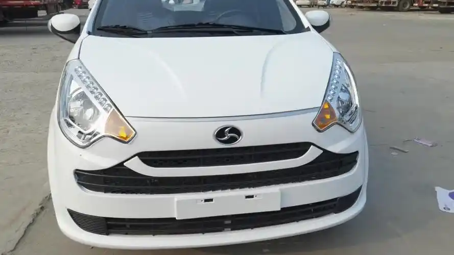 一万多的电动车油电两用还能送到家这看着不跟汽车一样吗