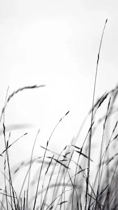 简单风景黑白 - 高清图片,堆糖,美图壁纸兴趣社区