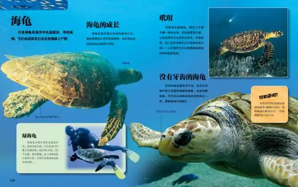 探索频道少儿大百科精华版全套8册 搜索未知的海洋生物动物气象人体