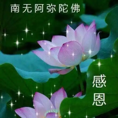 阿弥陀佛祈祷文