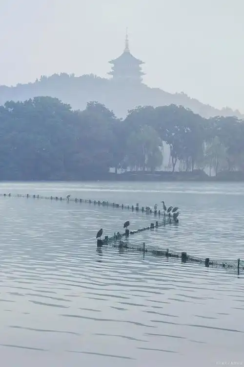 西湖十景是哪十景