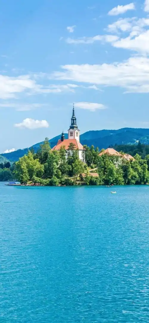 壁纸 桌面 690_1494 竖版 竖屏 手机