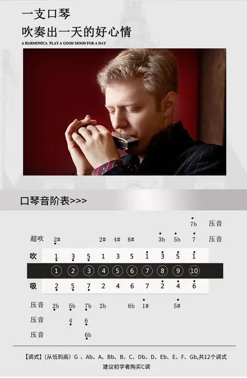 儿童10孔布鲁斯初学者蓝调口琴ha20deb调