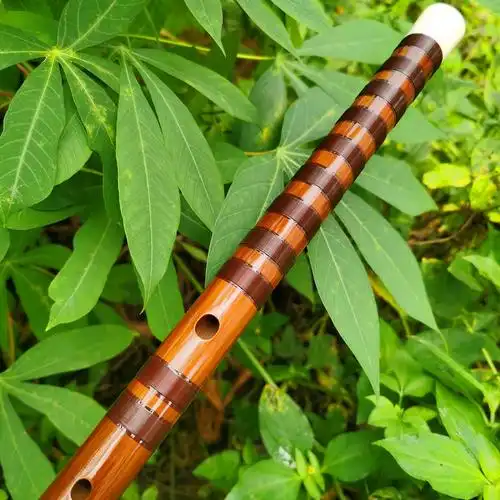 凡乐臻品品大笛子专业考级演奏苦竹可看三哥笛子