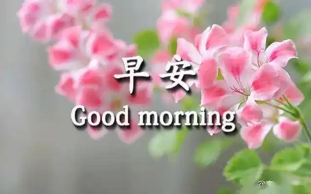 唯美的早安图片带字漂亮好看的早上好问候语图片