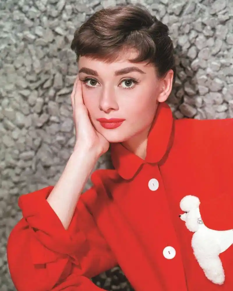 audrey hepburn 奥黛丽·赫本
