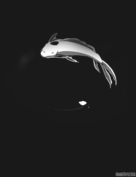 500_650竖版 竖屏gif 动态图 动图