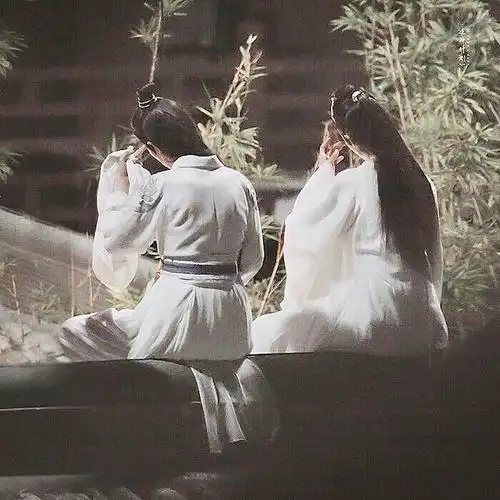 陈情令肖战王一博背影大合集每一幅都是名场面我不淡定了