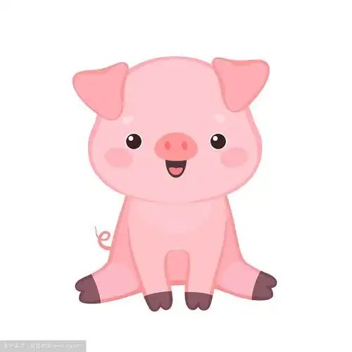 可爱的卡通猪坐在和微笑