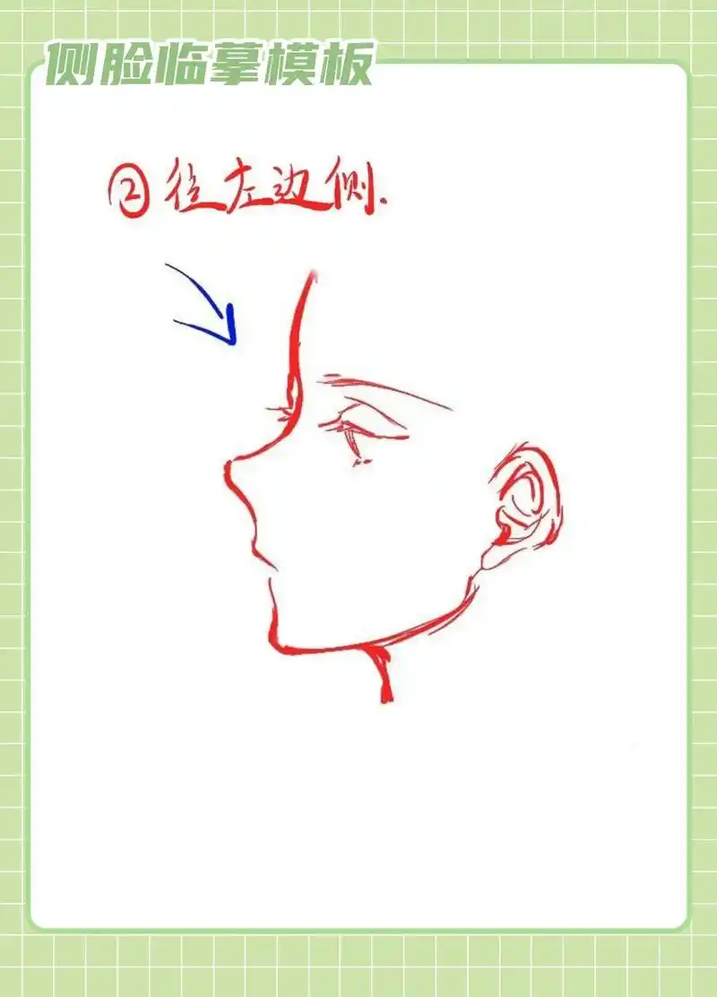不会画侧脸的,这里有最简单的教程哦.,临摹超有用#procr - 抖音