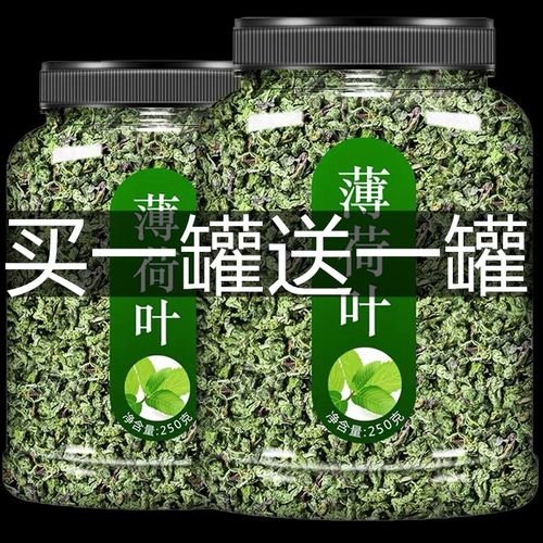 薄荷叶泡茶新鲜薄荷茶干薄荷叶泡水喝清新口气清凉茶叶花茶花草茶