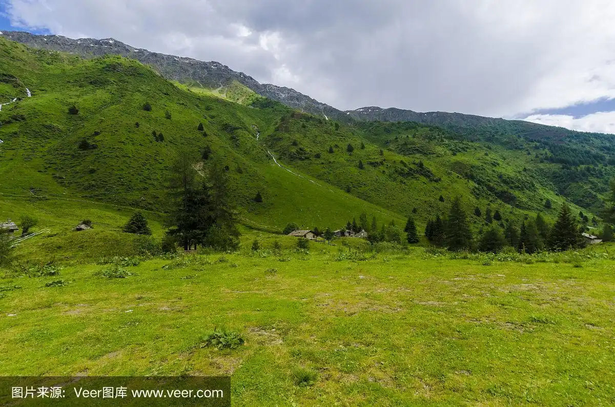 阿尔卑斯山山谷中的山地草甸和森林