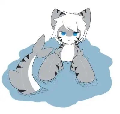 changeds喵鲨和乌贼犬