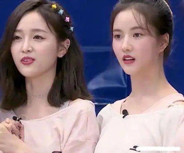 刘些宁和吴宣仪的关系长得太像傻傻分不清