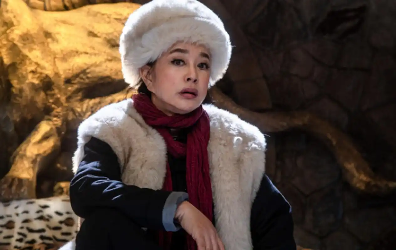 刘晓庆是一位备受尊敬的女演员,她的演艺事业跨越了几十年.