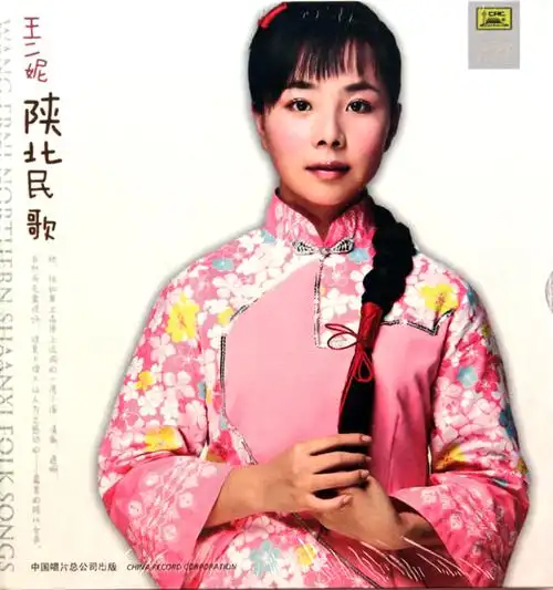 王二妮陕北民歌
