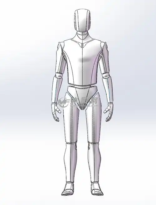 人体设计模型图