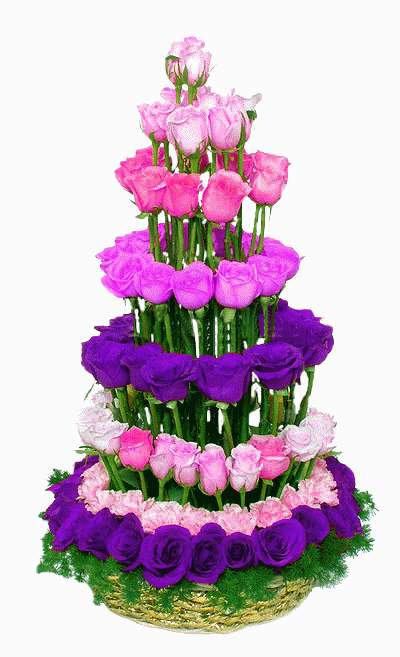 动态图片变色花篮