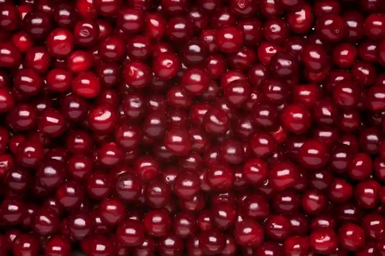 红樱桃背景灰色背景碗上的热带水果红樱桃水果红樱桃png素材红色餐饮