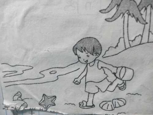 看图写话《捡贝壳》