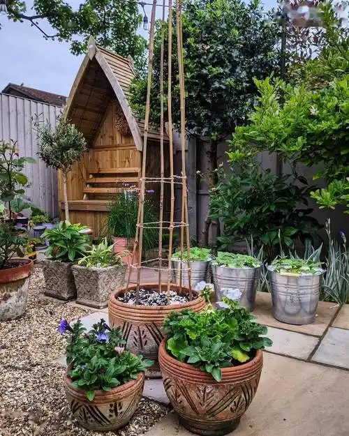 简约≠简单的设计,让小花园住起来更舒适_生活_田园_创意