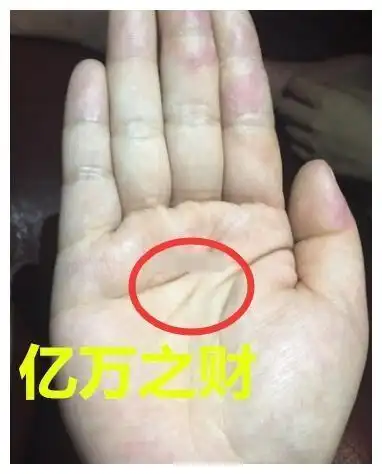 百年难得一遇的手相,一生衣食无忧"不差钱"必发亿万之财|手相|财运