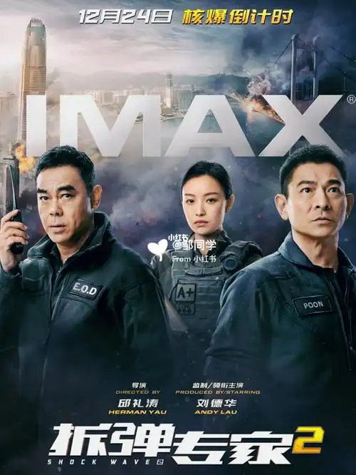 推荐一部好看的电影拆弹专家2