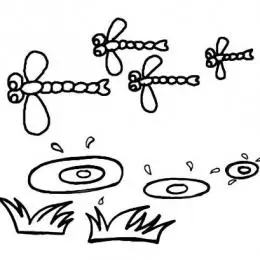 蜻蜓点水简笔画图片