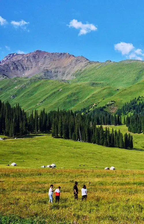 拍摄于新疆那拉提大草原