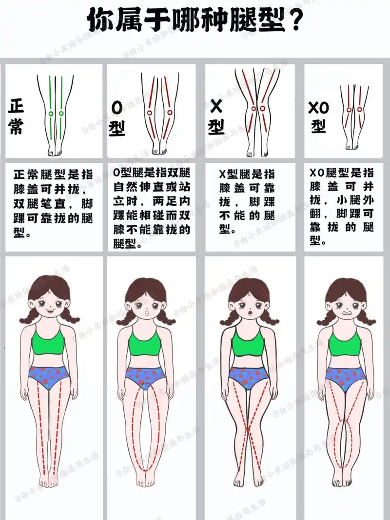 体态|你属于哪种腿型?