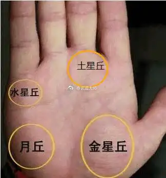手掌各个位置有横纹都代表了什么意思呢?