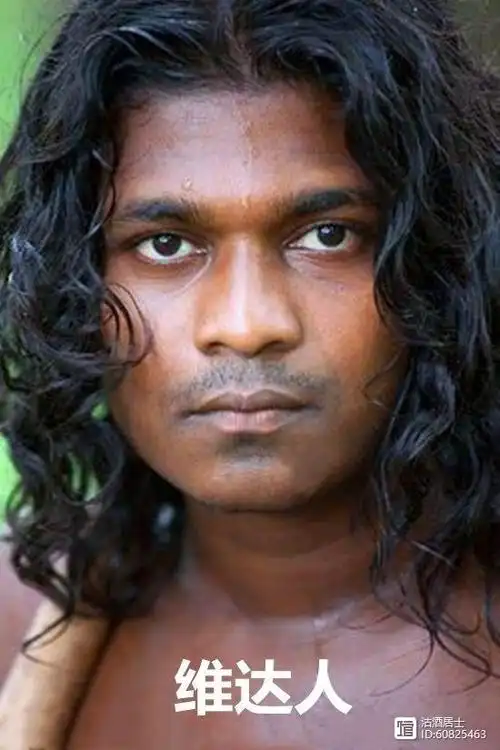 尼格利陀人一般俗称矮黑人,与非洲黑人同肤色而不同血缘,都是由于早期