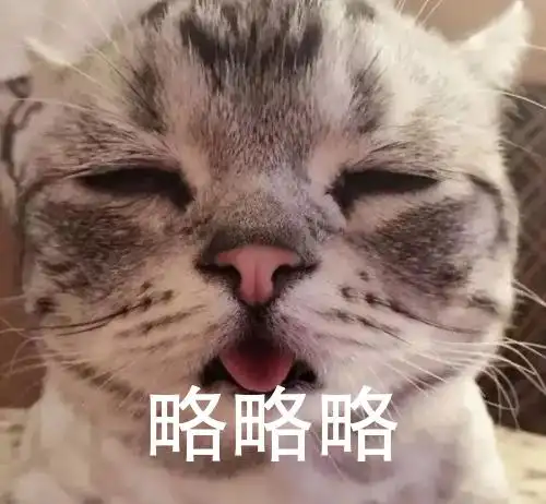 简约可爱猫咪表情包