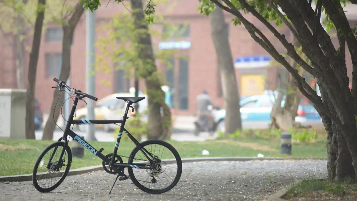 唯美自然风景自行车高清壁纸