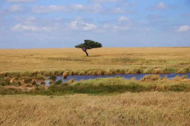 东非大草原纪念册,一个野生动物的天堂.(14年4月)