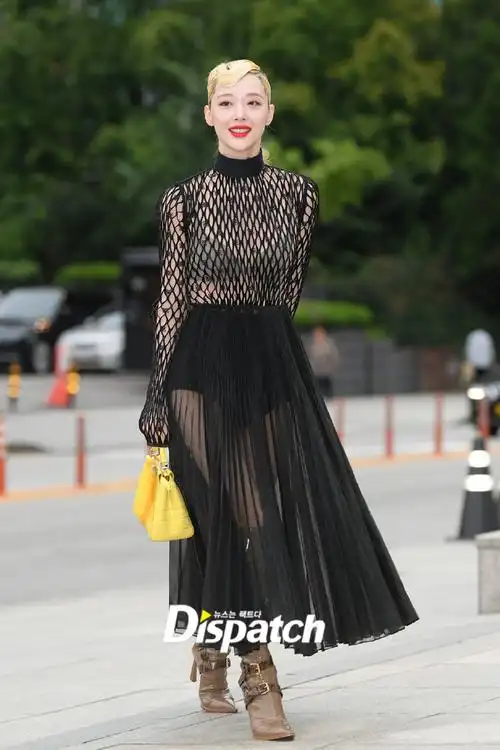 致美丽的崔雪莉##崔雪莉