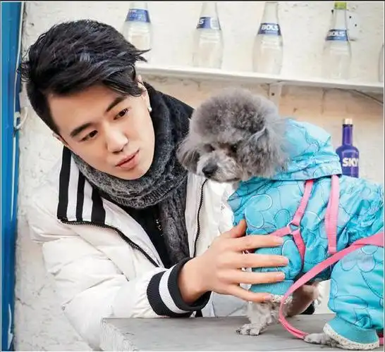 李思澄你是狗狗的全世界