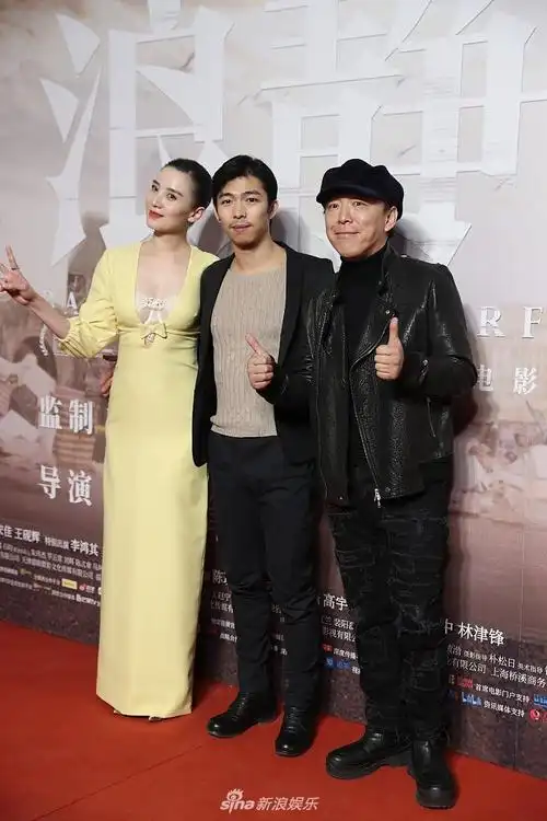 陶虹徐峥夫妇挽手走红毯秀恩爱02宋佳穿深v黄裙秀好身材