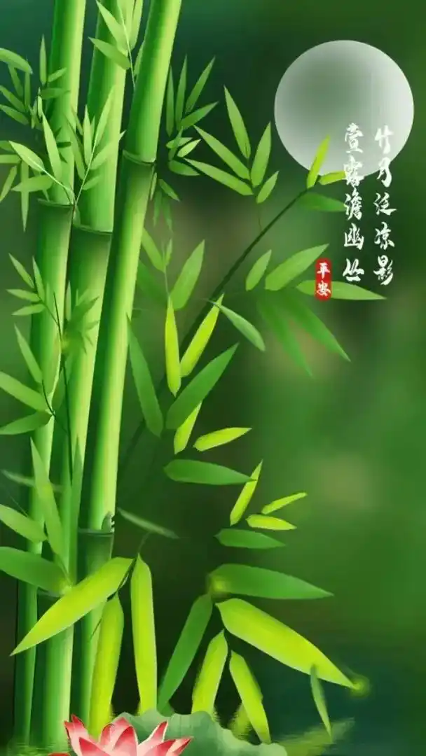 护眼壁纸#有你喜欢的吗? - 抖音