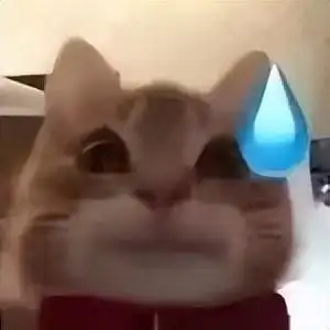 今天给大家分享一批搞笑又可爱的歪嘴小猫表情包