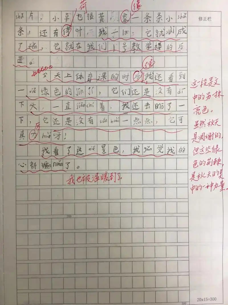 小学生优秀作文:三年级写景日记《秋天来了》