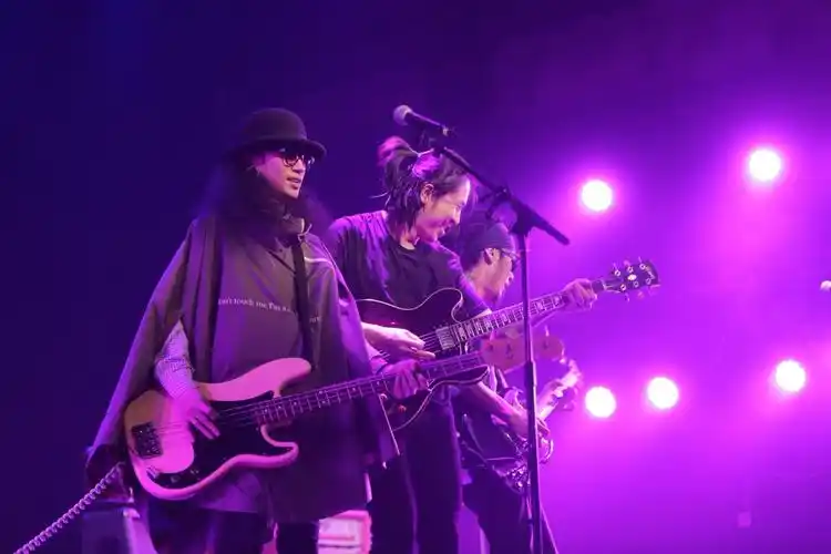 谈资爱音乐▏海龟先生我们是一支有呼召的乐队