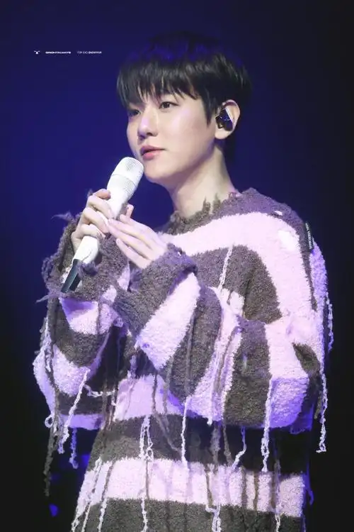 边伯贤#太漂亮了  黑发乖乖哥哥0606cr brightalways56/under